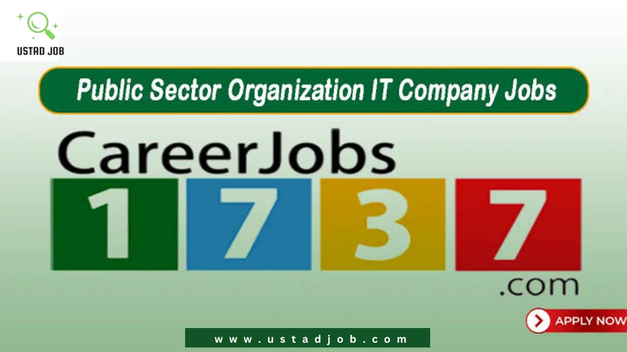 Public Sector Organization Jobs 2024-ustadjob.com